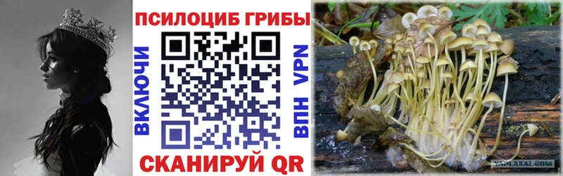 магазин  наркотиков  Нюрба  Галлюциногенные грибы прущие грибы 