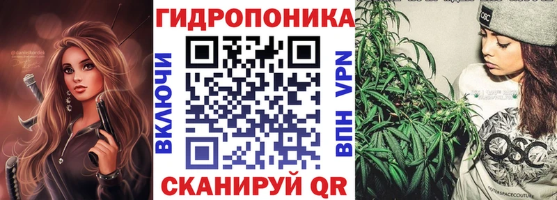Шишки марихуана сатива  Нюрба 